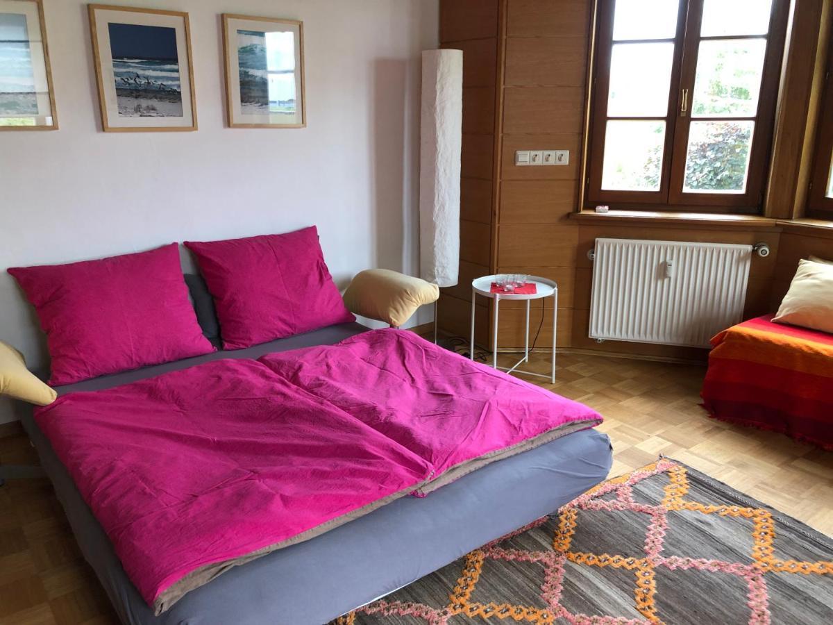 Am Donauradwanderweg Apartment